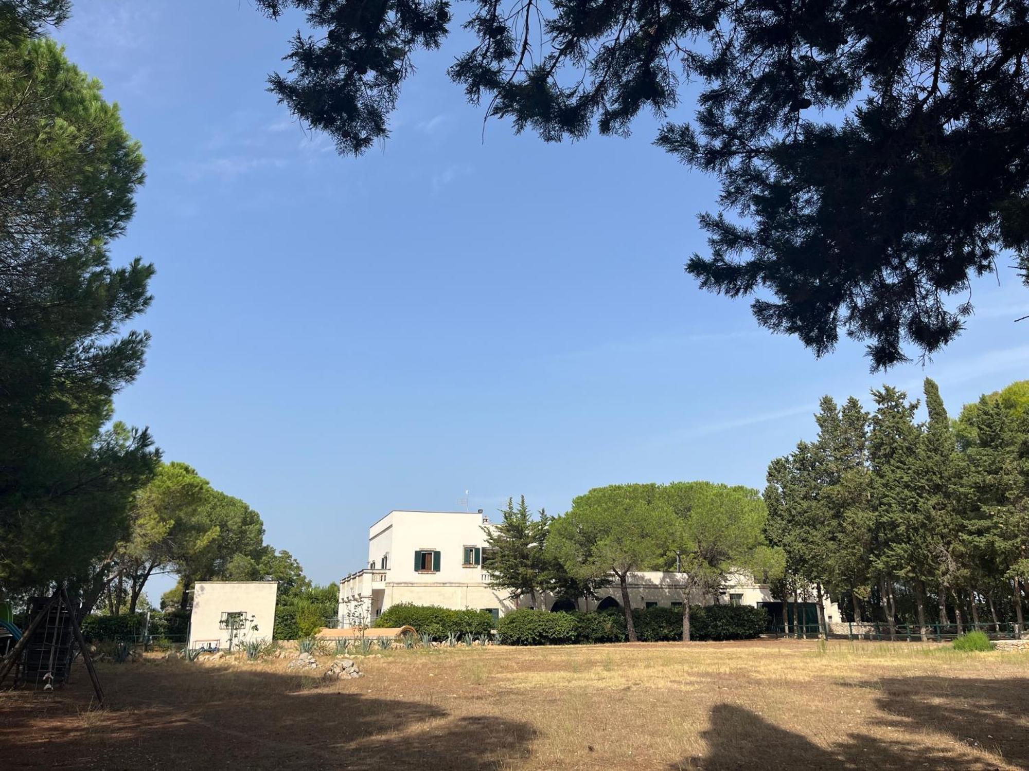Masseria La Camardia Sava Eksteriør billede