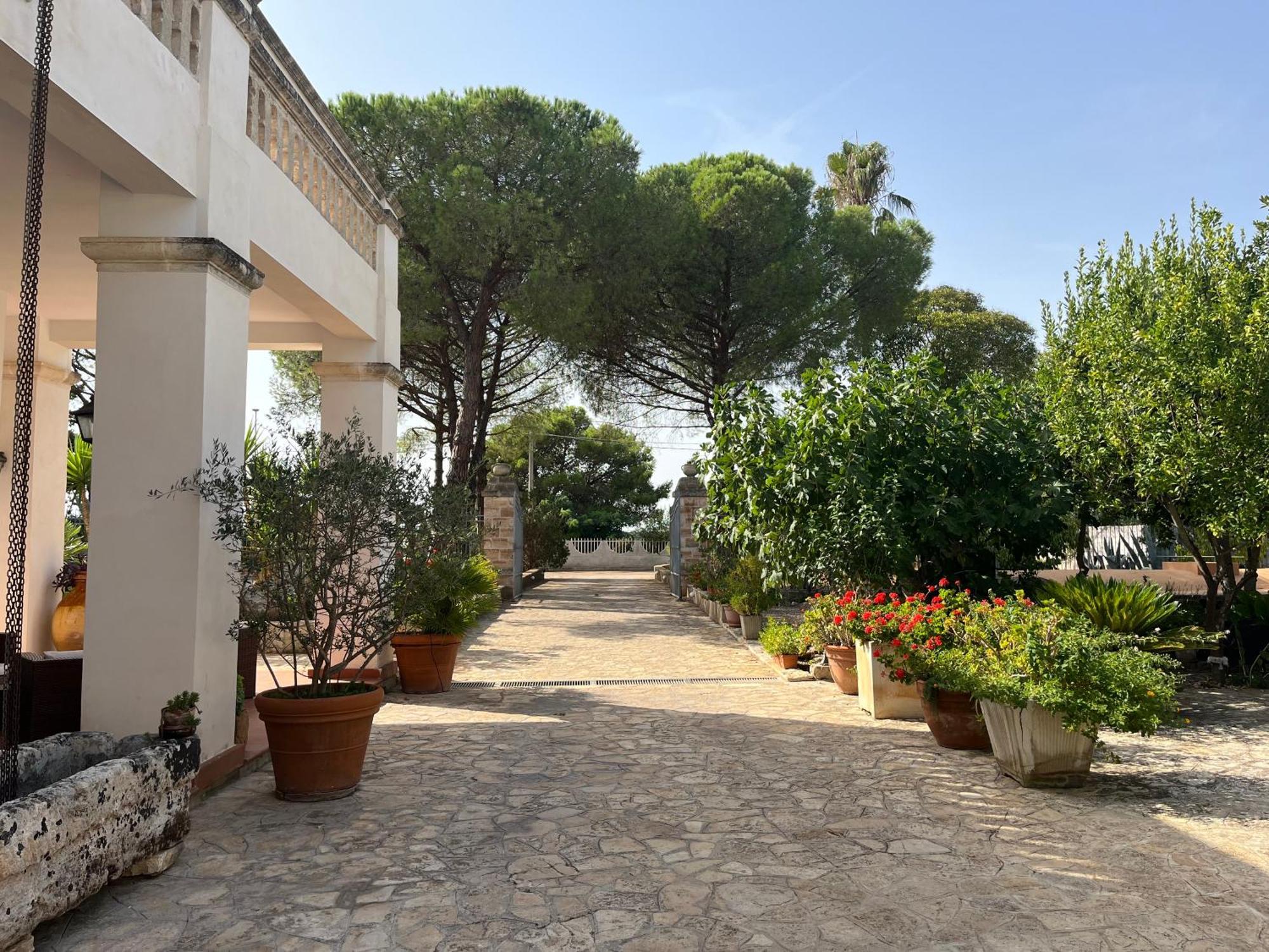 Masseria La Camardia Sava Eksteriør billede
