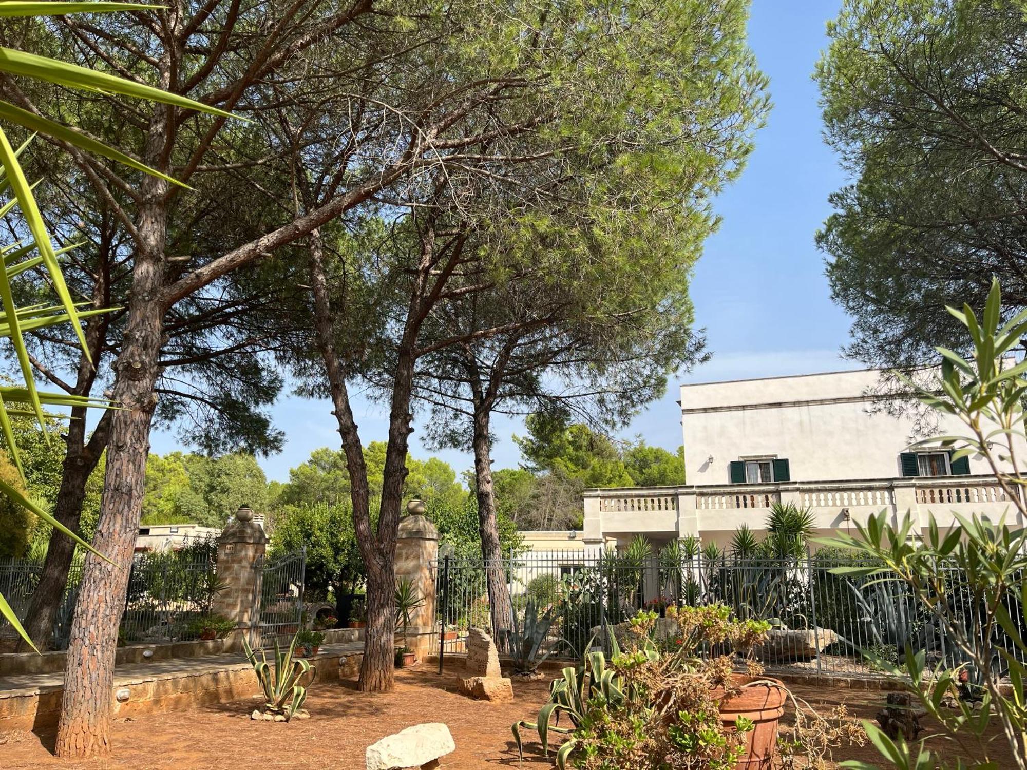 Masseria La Camardia Sava Eksteriør billede