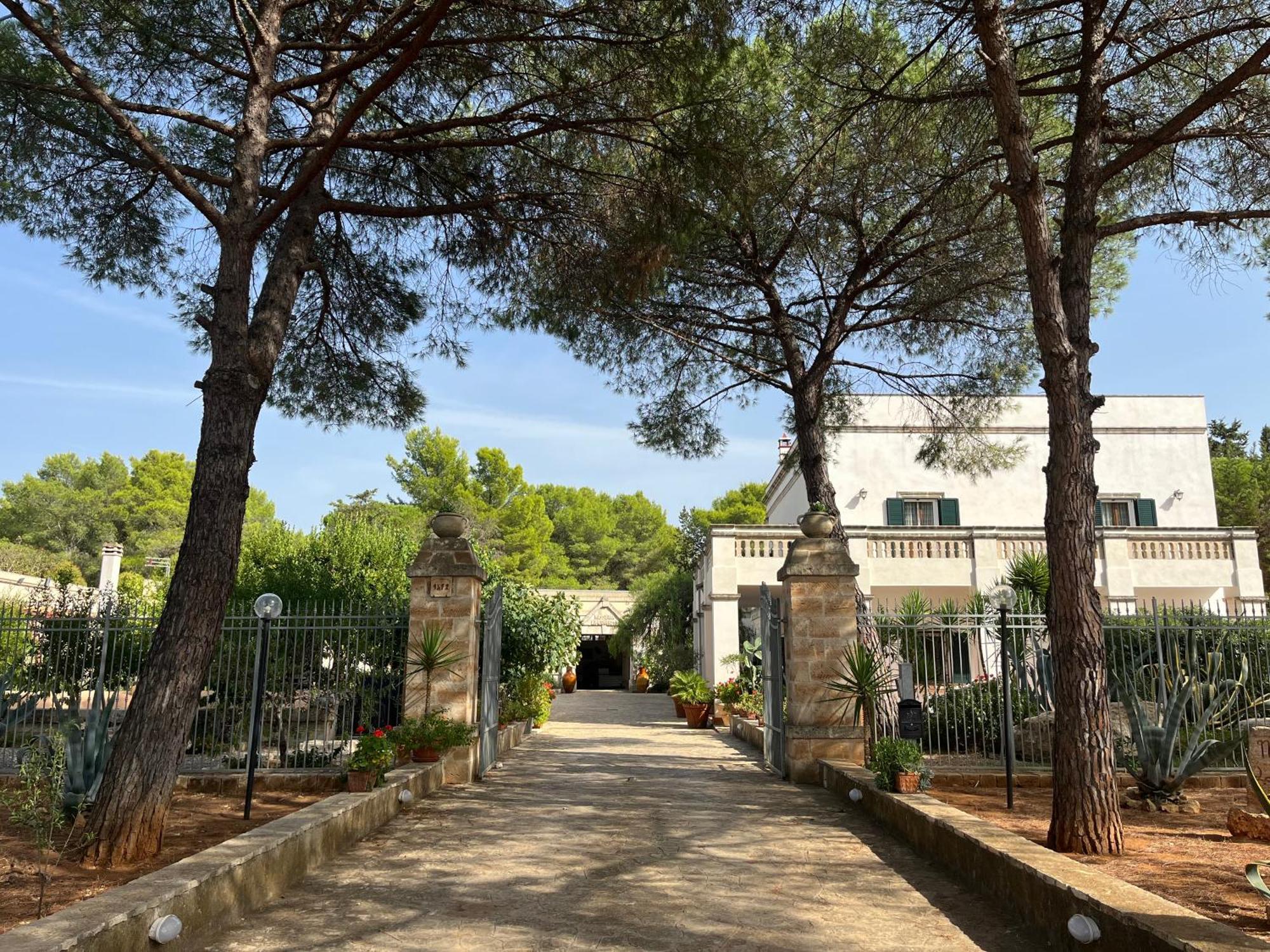 Masseria La Camardia Sava Eksteriør billede