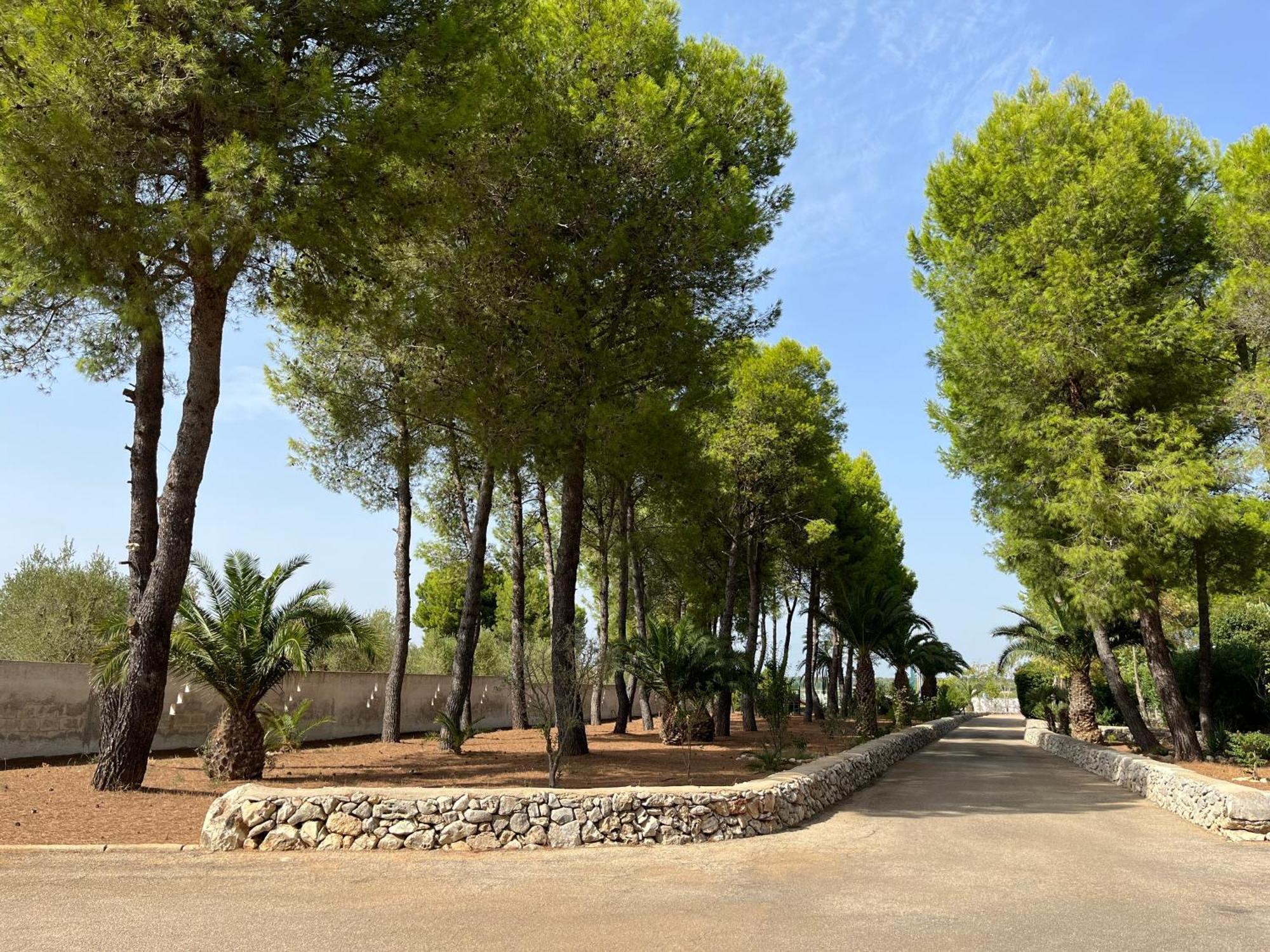 Masseria La Camardia Sava Eksteriør billede