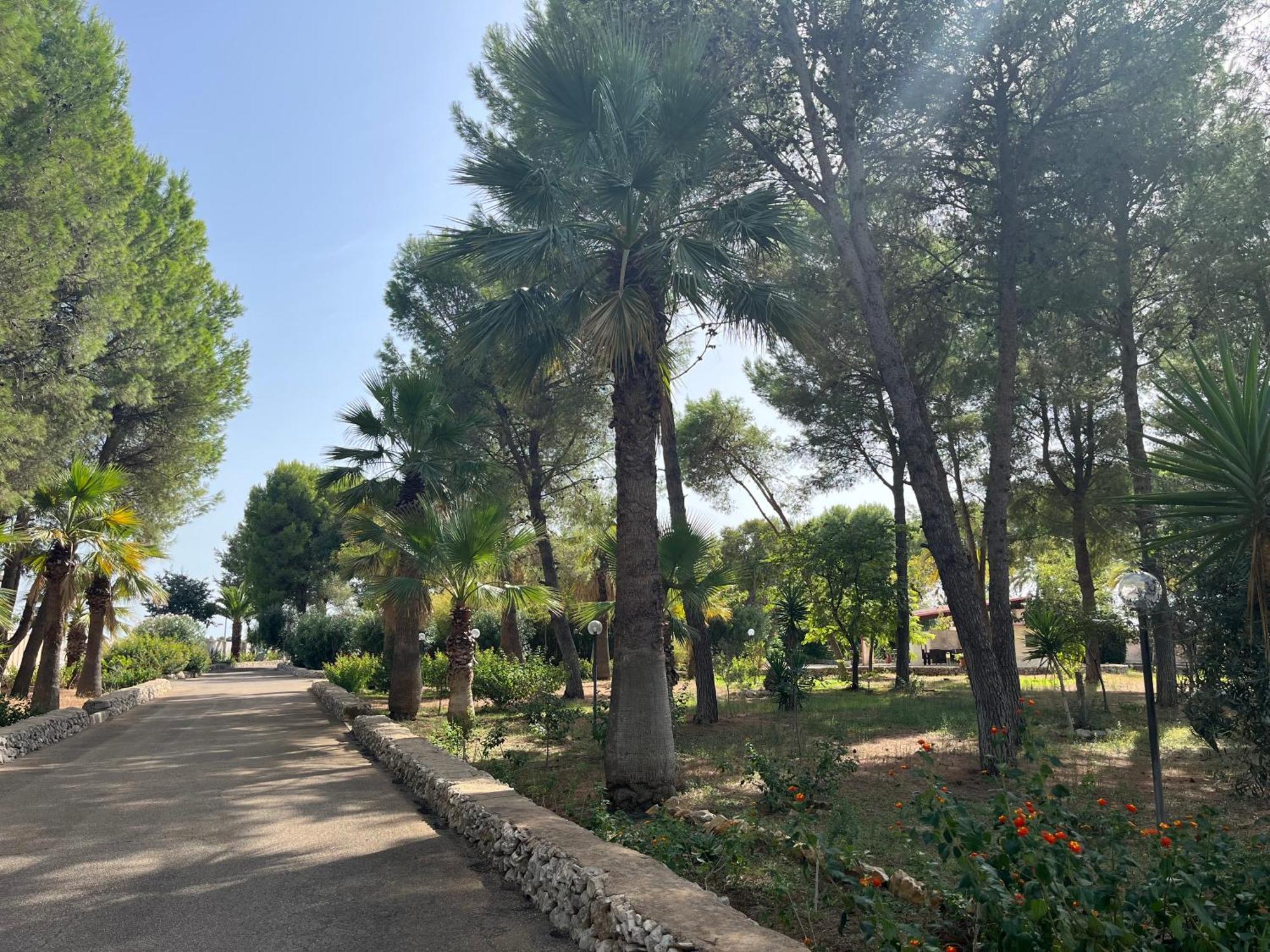 Masseria La Camardia Sava Eksteriør billede