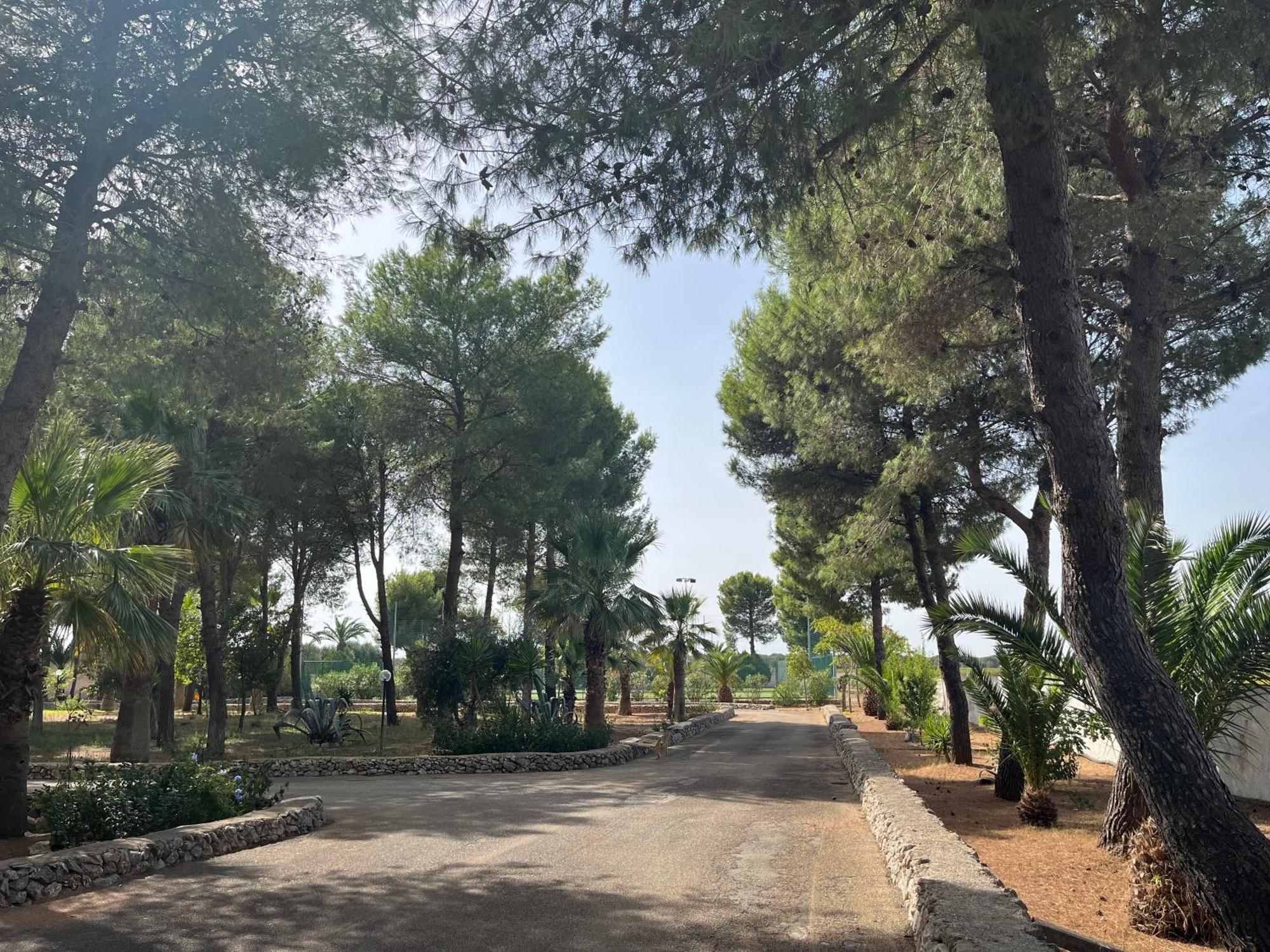 Masseria La Camardia Sava Eksteriør billede