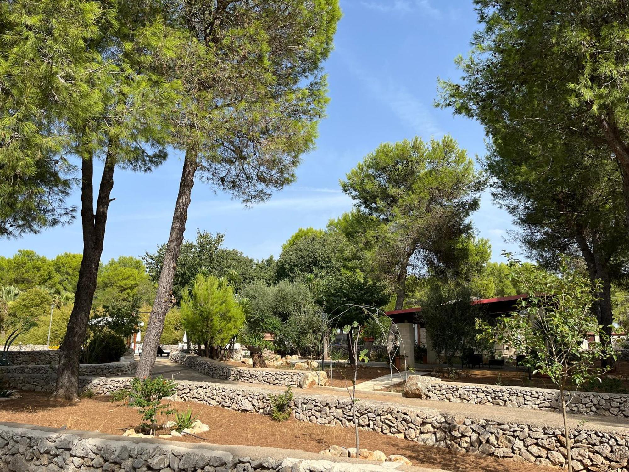 Masseria La Camardia Sava Eksteriør billede