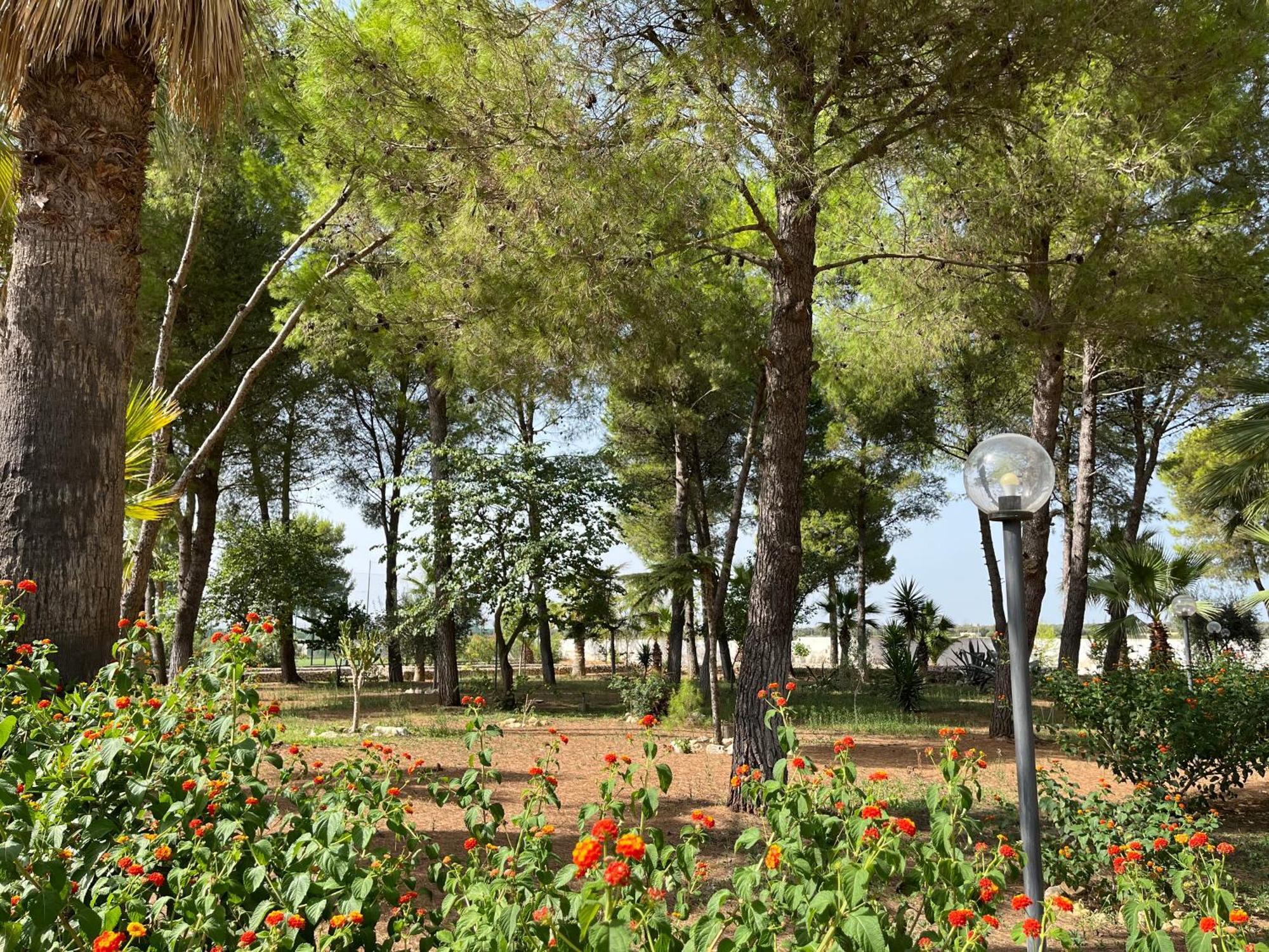 Masseria La Camardia Sava Eksteriør billede
