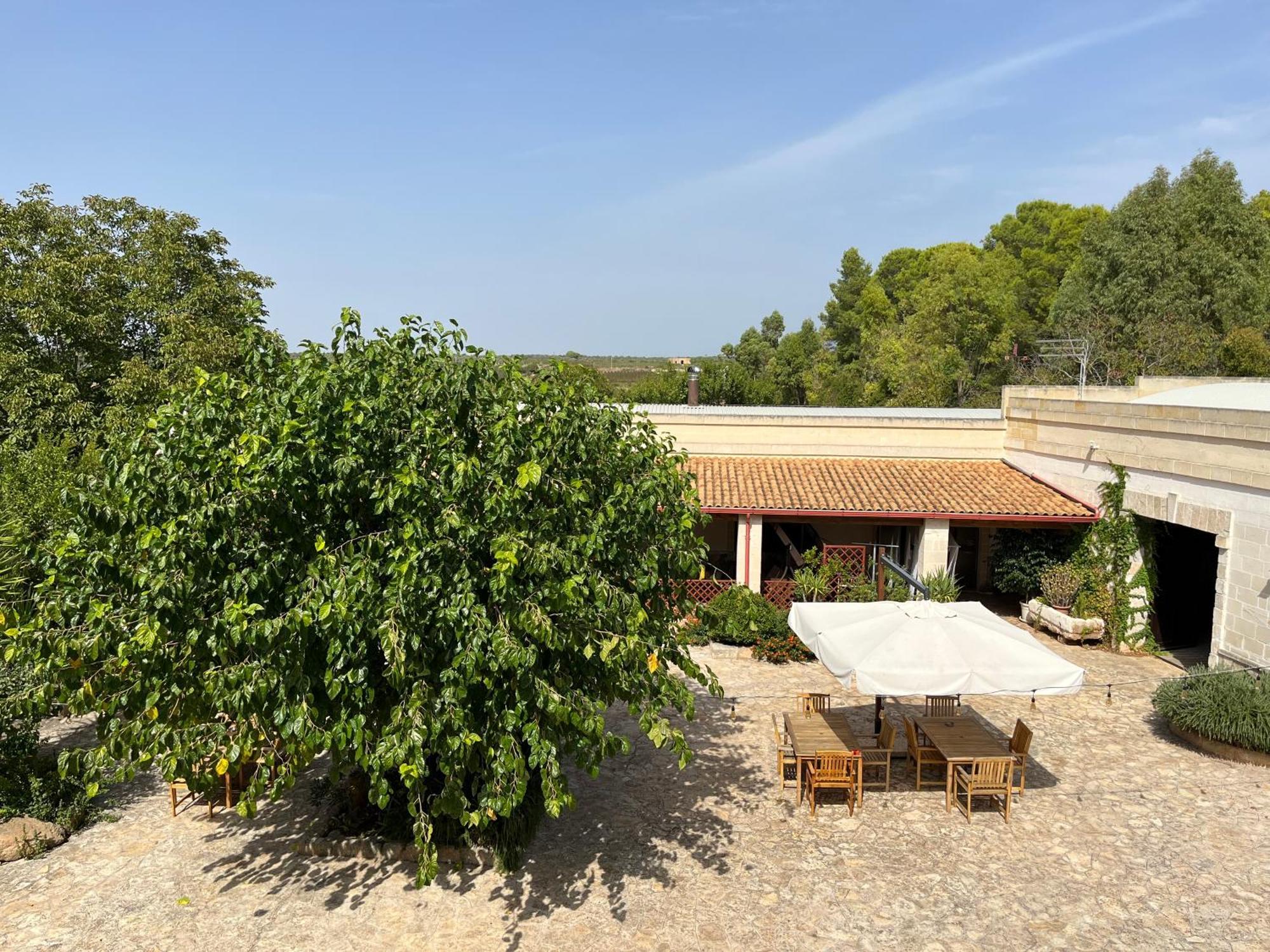 Masseria La Camardia Sava Eksteriør billede