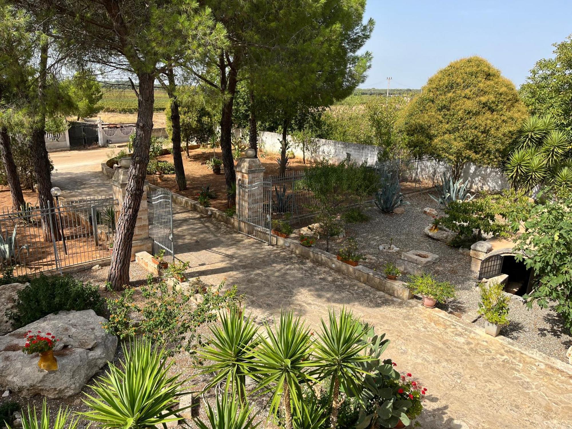 Masseria La Camardia Sava Eksteriør billede