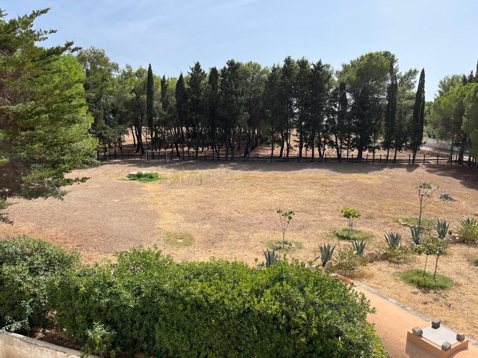 Masseria La Camardia Sava Eksteriør billede