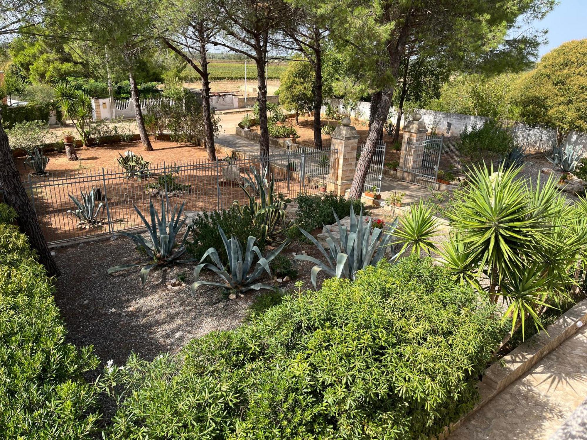 Masseria La Camardia Sava Eksteriør billede